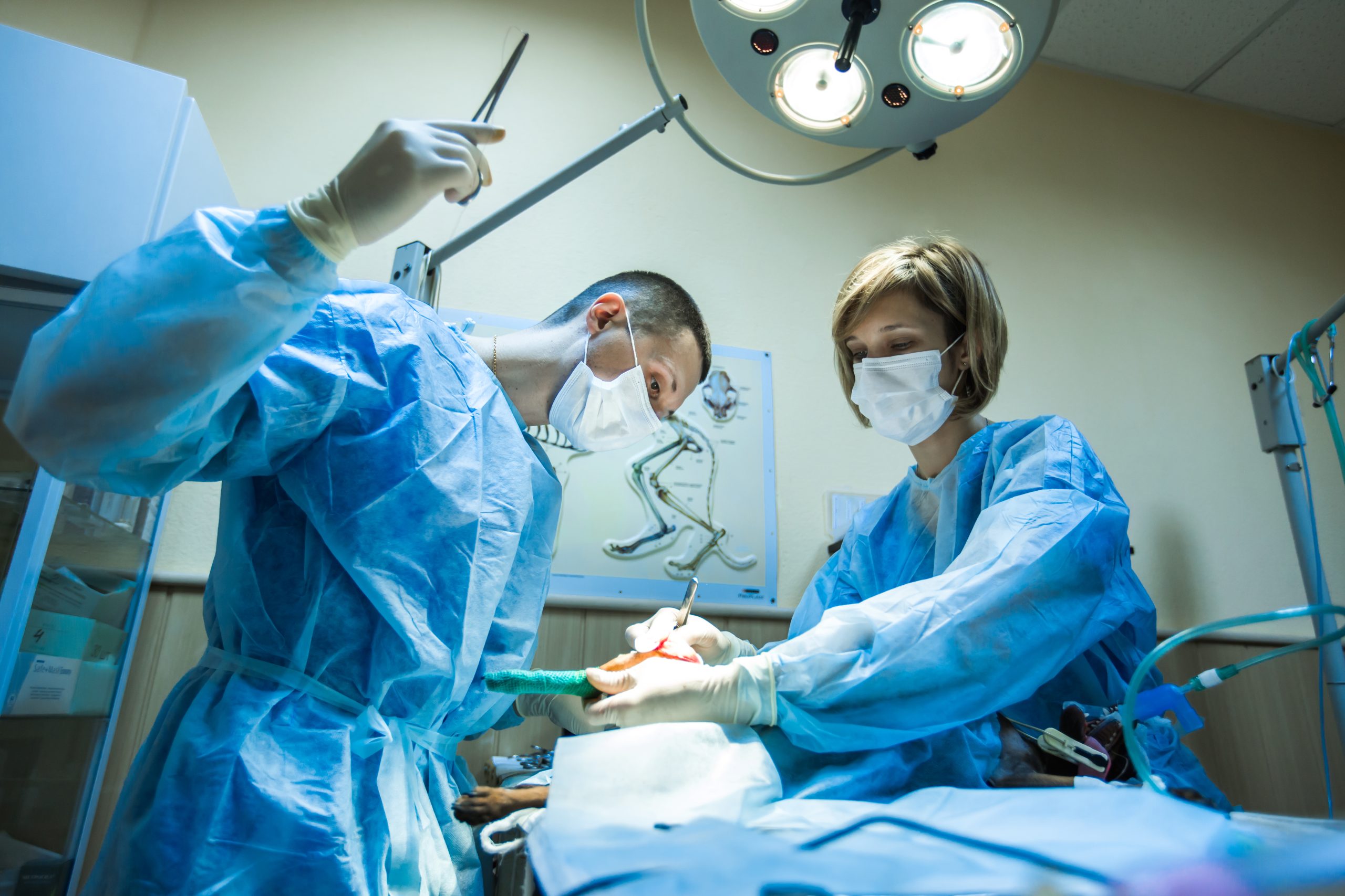 Ameliyat Sonrası Gebelik ve Aile Plânlaması